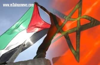 مساعدات مغربية لفلسطين . كتبت :سمية مدغري علوي 
