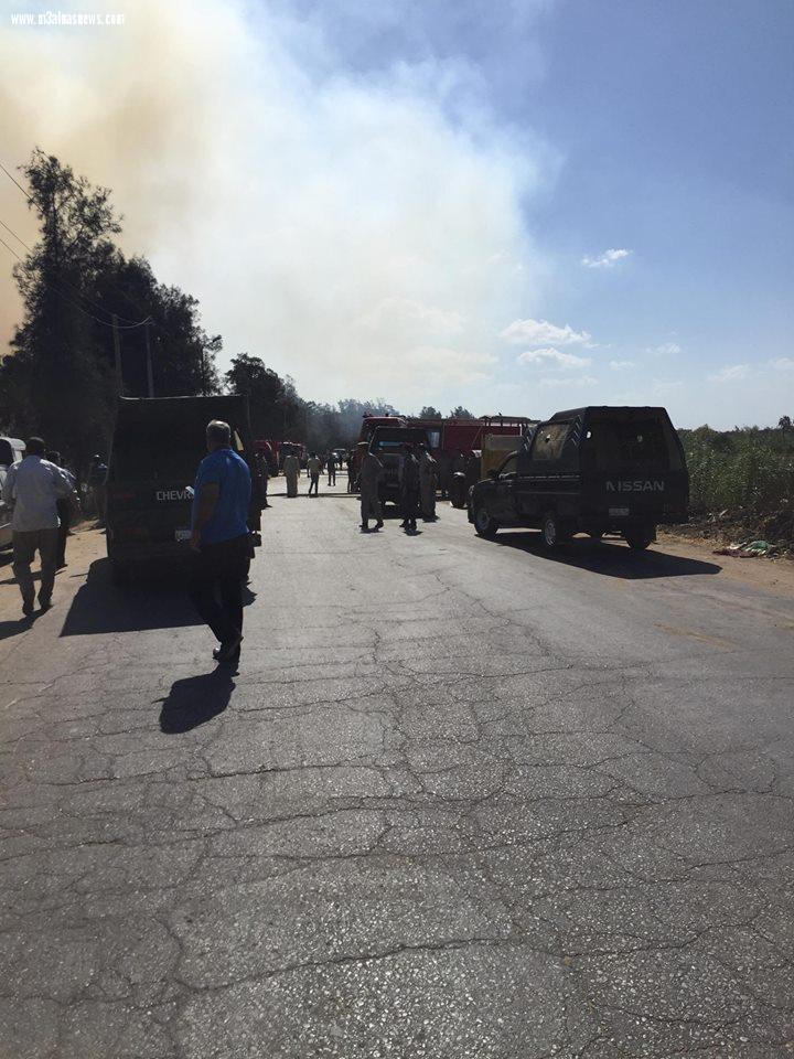 اشتعال النيران بمركز تجميع قش الأرز فى بيلا والحماية المدنية تسيطر على الحريق بعد 4 ساعات