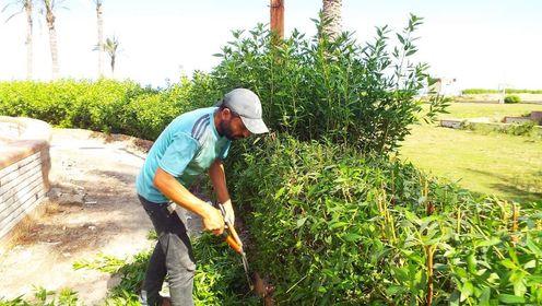  رؤساء المراكز والمدن  بكفر الشيخ يواصلون حملات النظافة والتجميل ورفع كفاءة الإنارة العامة 