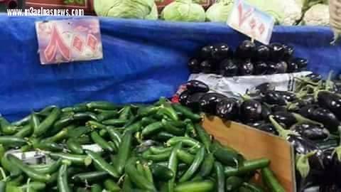 ركود داخل السوق القطاعى ببلطيم في كفر الشيخ