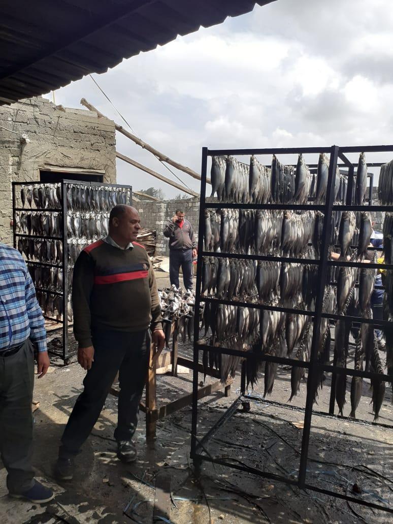 ضبط 13 طن رنجة فاسدة بمصنع غير مُرخص بسيدي سالم فى كفرالشيخ