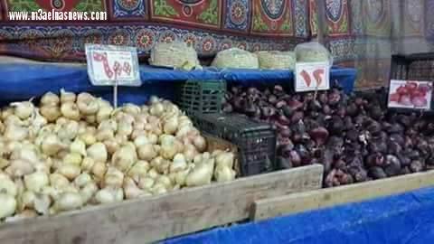 ركود داخل السوق القطاعى ببلطيم في كفر الشيخ