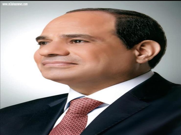 المنظمة المصرية العربية تشيد بتصريحات الرئيس السيسى لرعايته لحقوق الإنسان