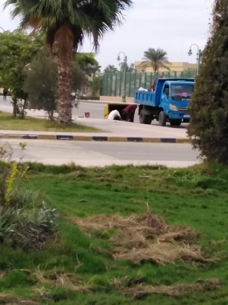 بالصور والفيديو.. رفع مخلفات ونفايات خطرة يدويًا بجامعة كفرالشيخ