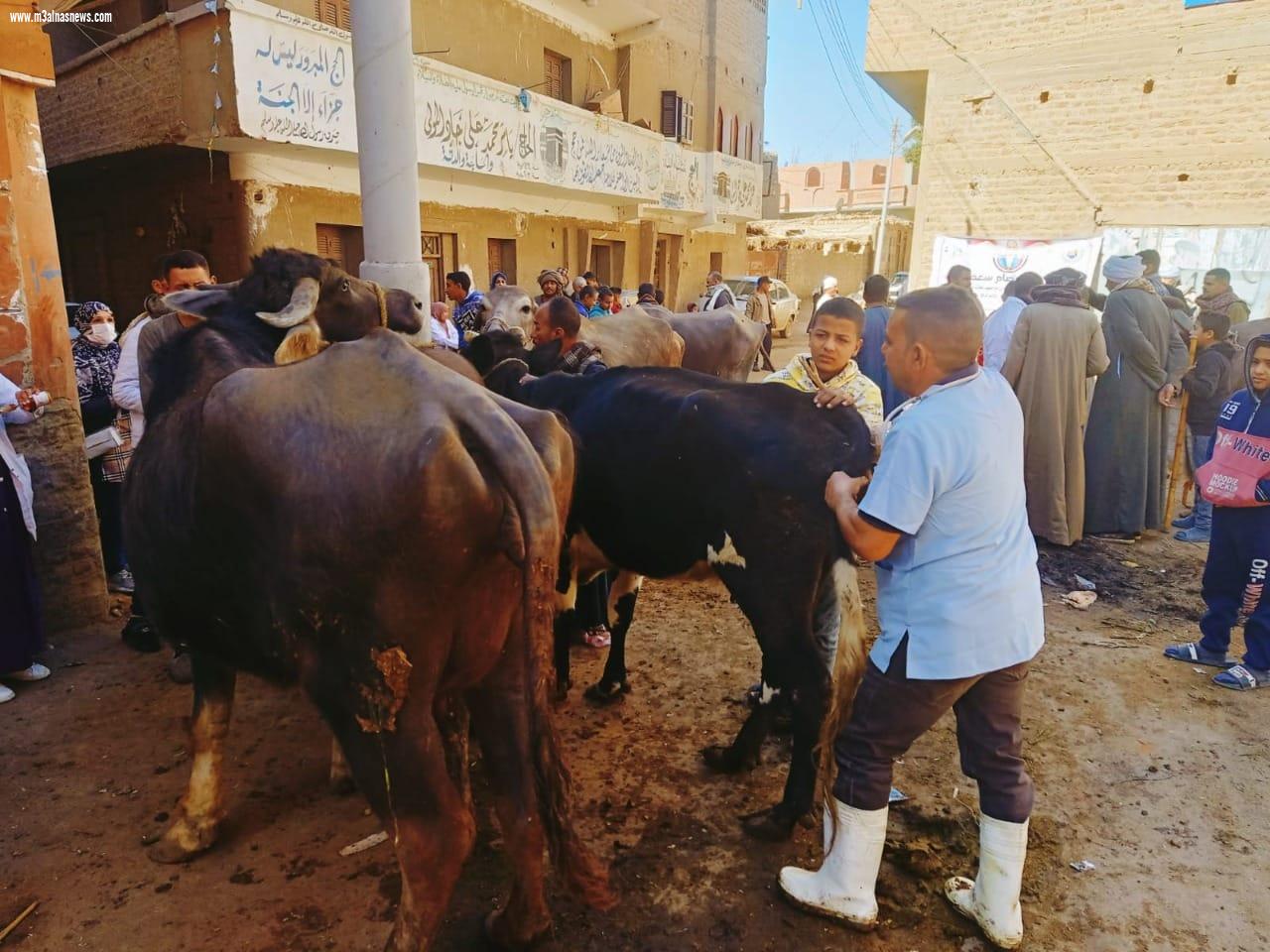 ضمن فعاليات المبادرة الرئاسية 