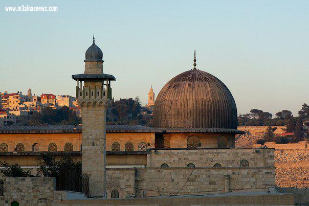 القدس أرض الجدود.. تاريخ لا ينتهي