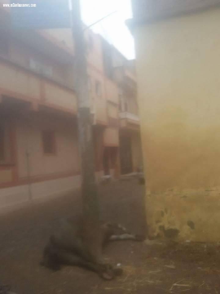 عمود مكهرب يصعق 