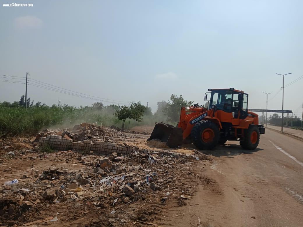 زراعة 1500 شجرة مثمرة بسيدي غازي بكفر الشيخ