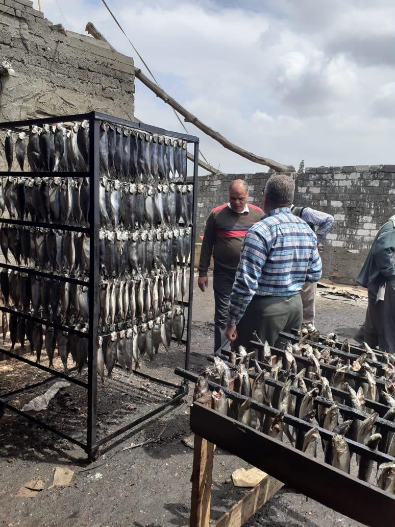 ضبط 13 طن رنجة فاسدة بمصنع غير مُرخص بسيدي سالم فى كفرالشيخ