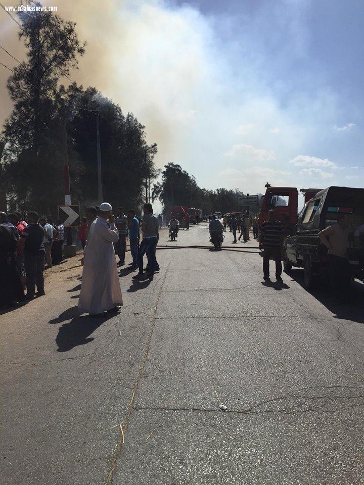 اشتعال النيران بمركز تجميع قش الأرز فى بيلا والحماية المدنية تسيطر على الحريق بعد 4 ساعات