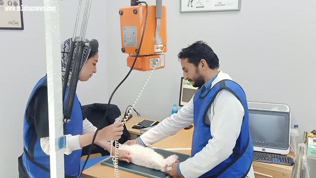 الطب البيطرى بجامعة بدر تعلن عن 27 منحة للطلاب فى ألمانيا