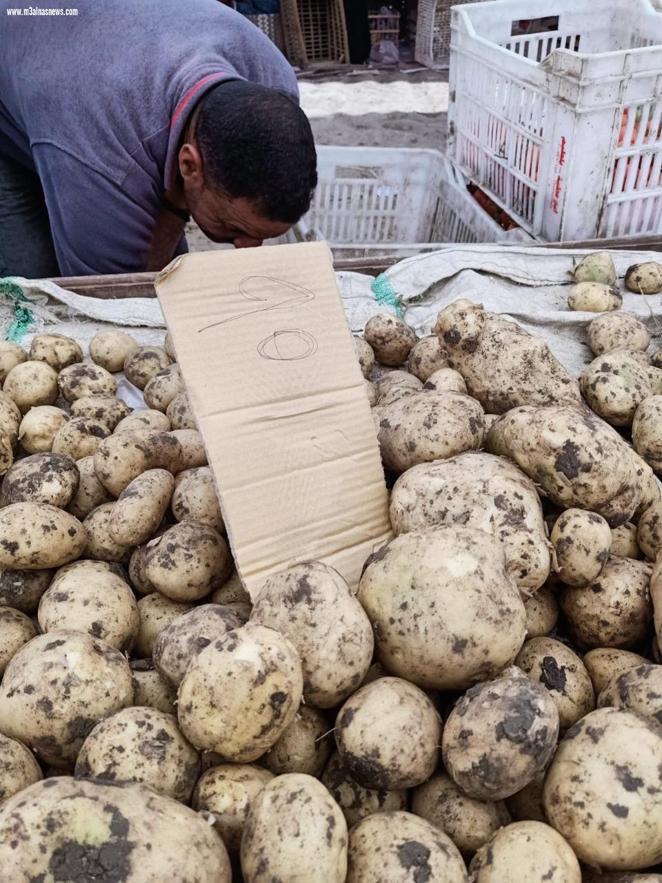 تحرير 361 محضراً للمخالفين من التجار وحملات مستمرة للتأكد من توافر السلع بكفر الشيخ