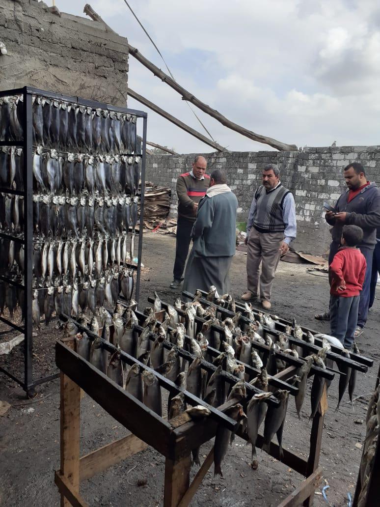 ضبط 13 طن رنجة فاسدة بمصنع غير مُرخص بسيدي سالم فى كفرالشيخ