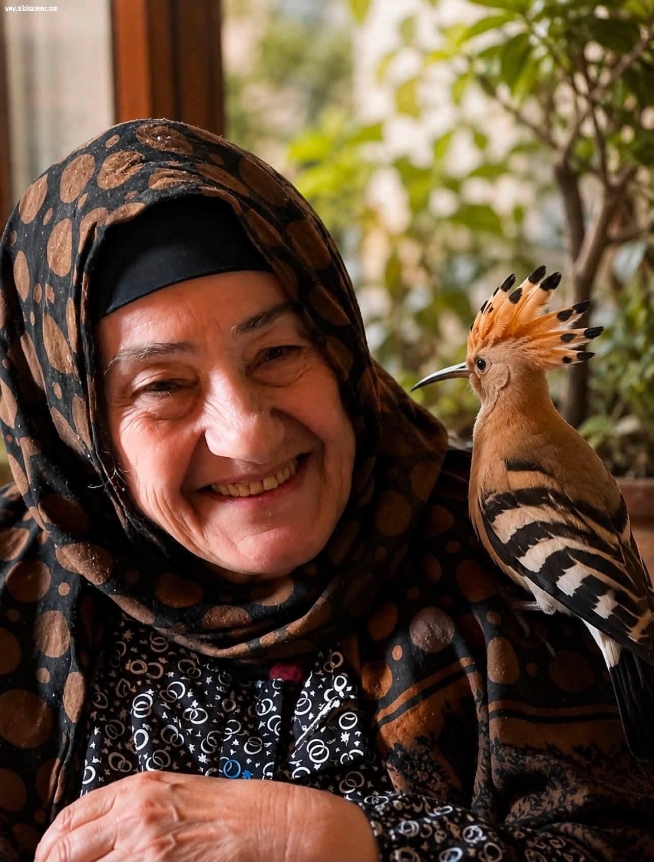 الدكتور رفعت أبو الاسعاد يكتب.. الهدهد وربوحة… حين كانت أمي تعرف كل شيء