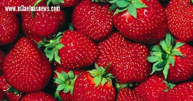 الكويت تلغى قرار وقف استيراد الفراولة المصرية بعد خلوها من الفيروسات