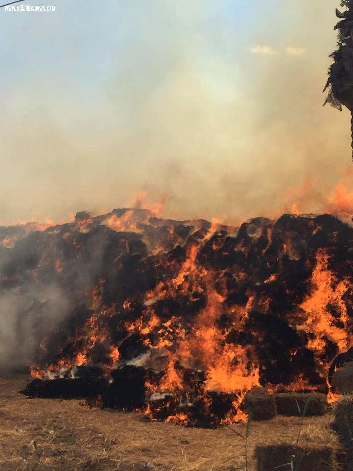 اشتعال النيران بمركز تجميع قش الأرز فى بيلا والحماية المدنية تسيطر على الحريق بعد 4 ساعات