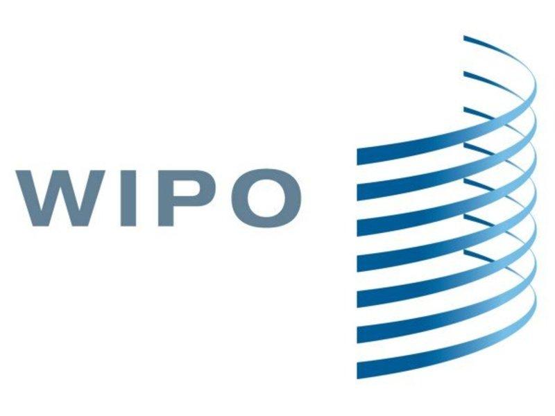 منظمة WIPO تُدرج مكتب تايكو جامعة كفرالشيخ ضمن خريطتها العالمية لرعاية الملكية الفكرية و حقوق براءات الاختراع