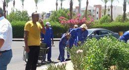 زهرة جنوب سيناء تعطى لمسه جمال ونظافه بشوارع شرم الشيخ قبل انعقاد مؤتمر الشباب