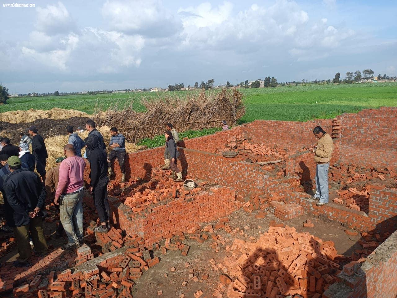 إزالة 4 حالات تعدي على الأراضي الزراعية في المهد بمطوبس وبلطيم