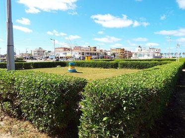  رؤساء المراكز والمدن  بكفر الشيخ يواصلون حملات النظافة والتجميل ورفع كفاءة الإنارة العامة 