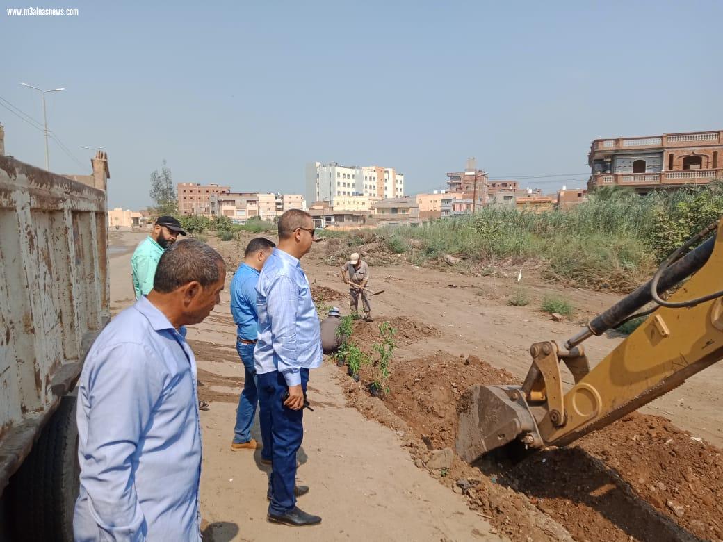 زراعة 1500 شجرة مثمرة بسيدي غازي بكفر الشيخ