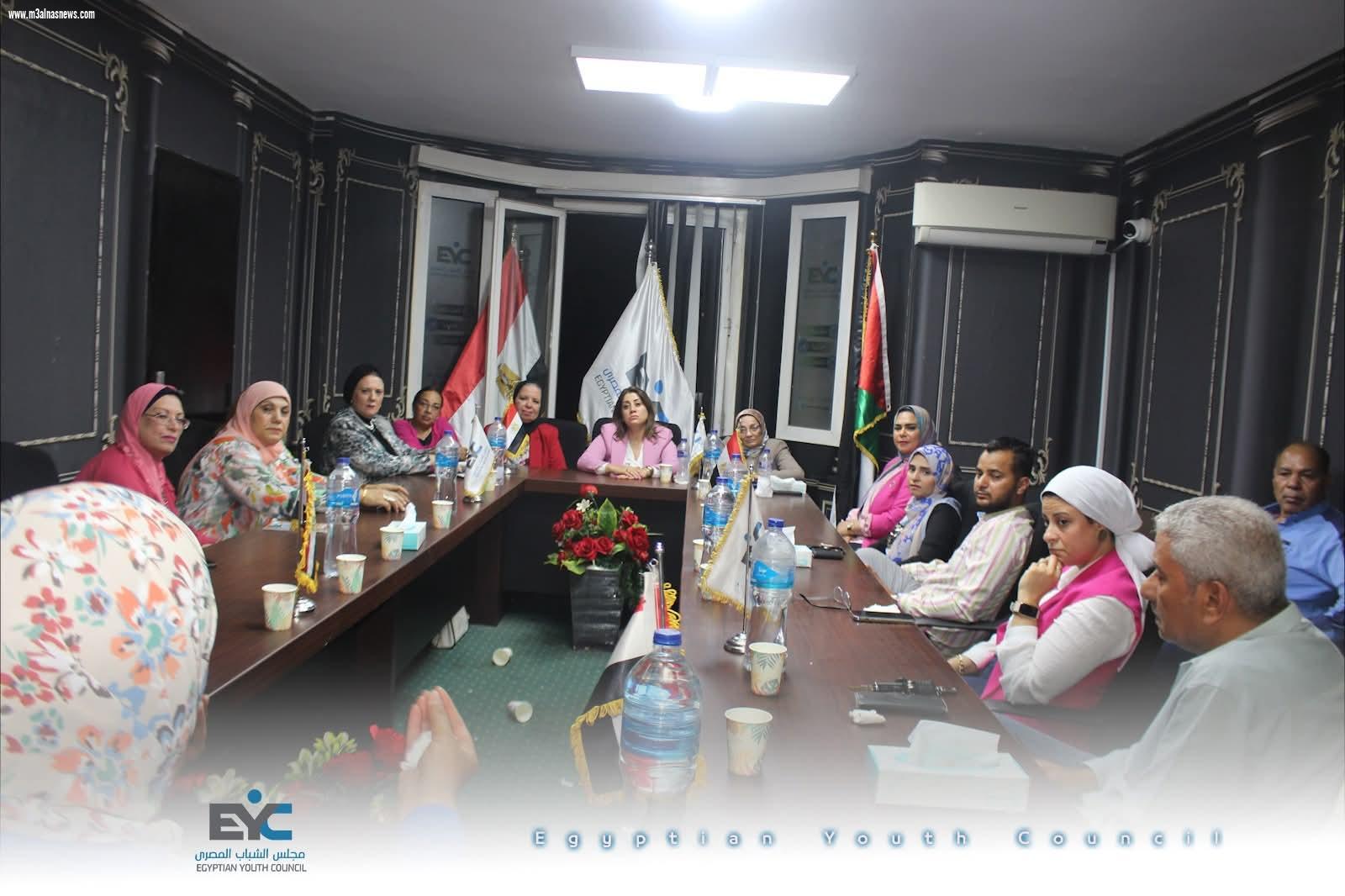 مجلس الشباب المصرى ينظم ندوة عن حماية الأطفال من التحرش