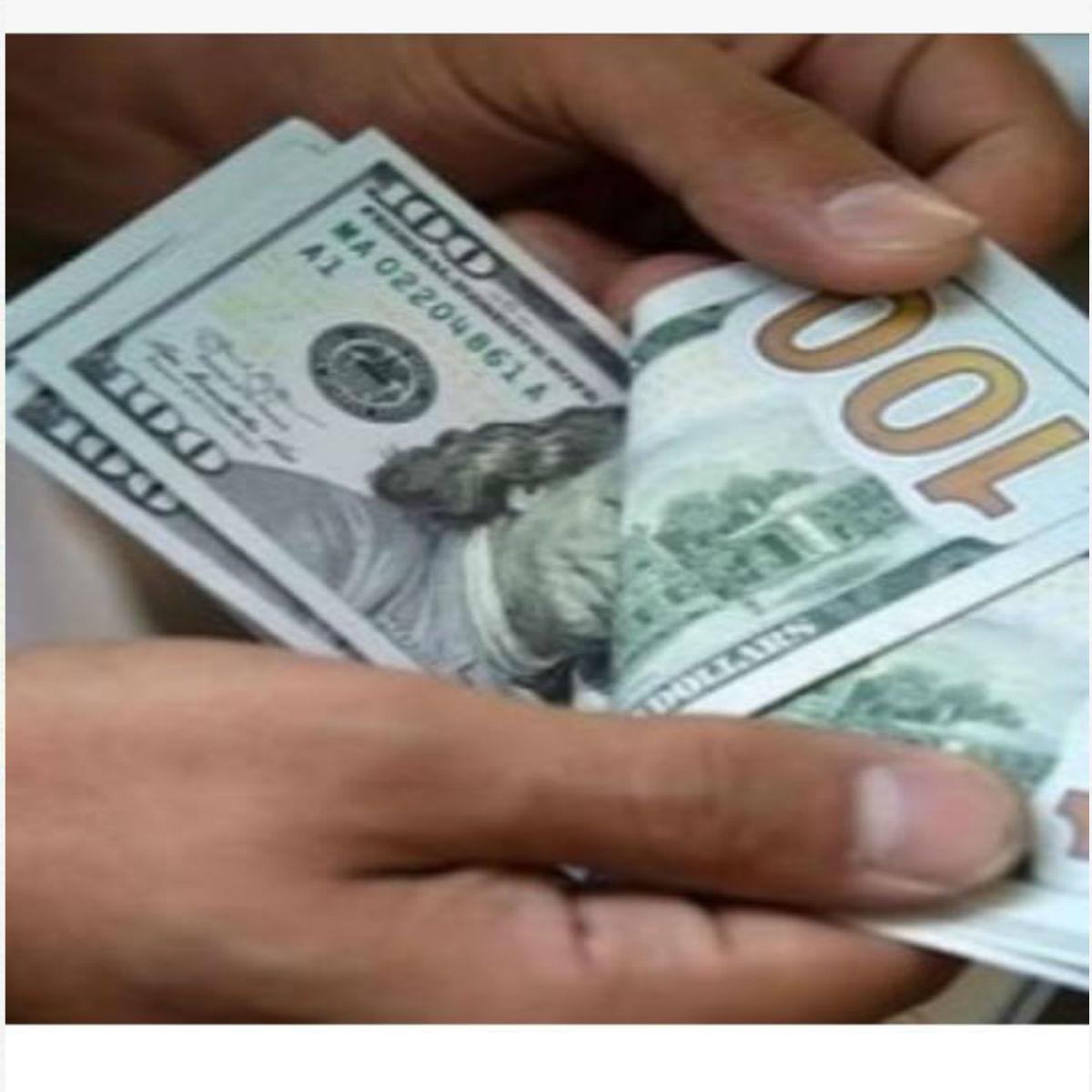 استقرار سعر الدولار للأسبوع الرابع على التوالى