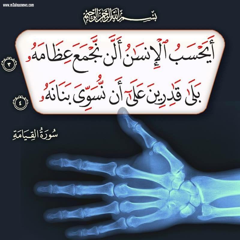 ايحسب الانسان ان يترك سدي | جريدة مع الناس نيوز