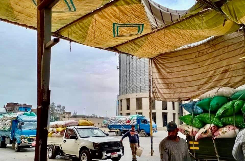 تموين كفرالشيخ يعلن توريد 39 ألف طن قمح منذ بداية موسم الحصاد