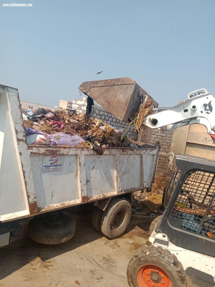 زراعة 1500 شجرة مثمرة بسيدي غازي بكفر الشيخ