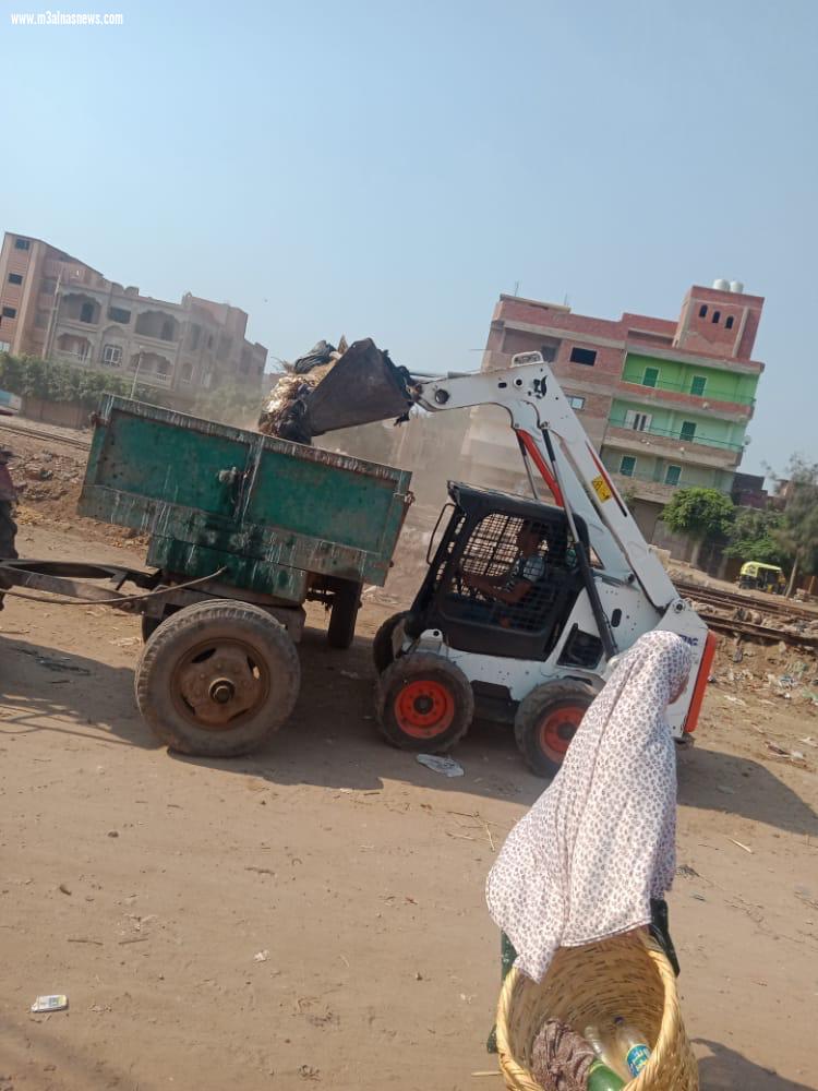 زراعة 1500 شجرة مثمرة بسيدي غازي بكفر الشيخ