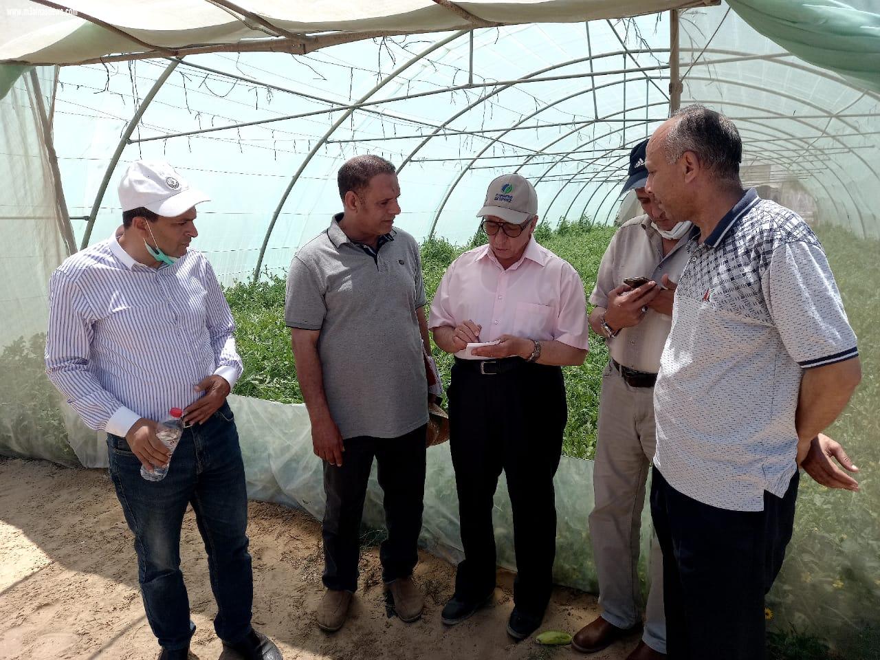 الزراعة تنظم يوم حقلي لتقاوي وإنتاج البطيخ بحضور علماء مركز البحوث وشركات الإنتاج