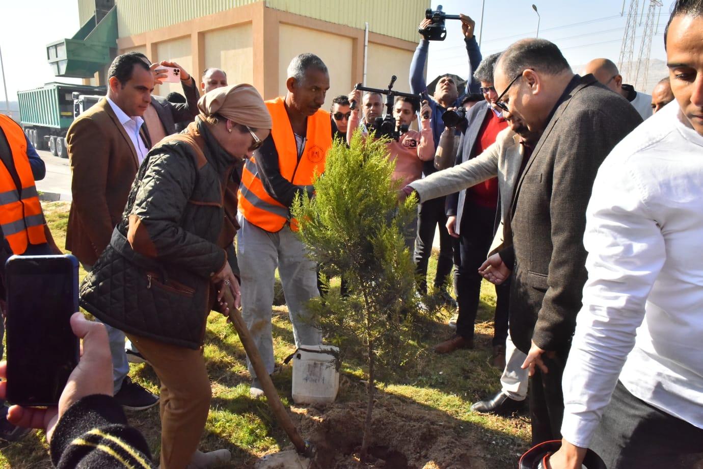 وزيرة البيئة ومحافظ أسيوط يشاركان في حملة تشجير ضمن مبادرة 100 مليون شجرة