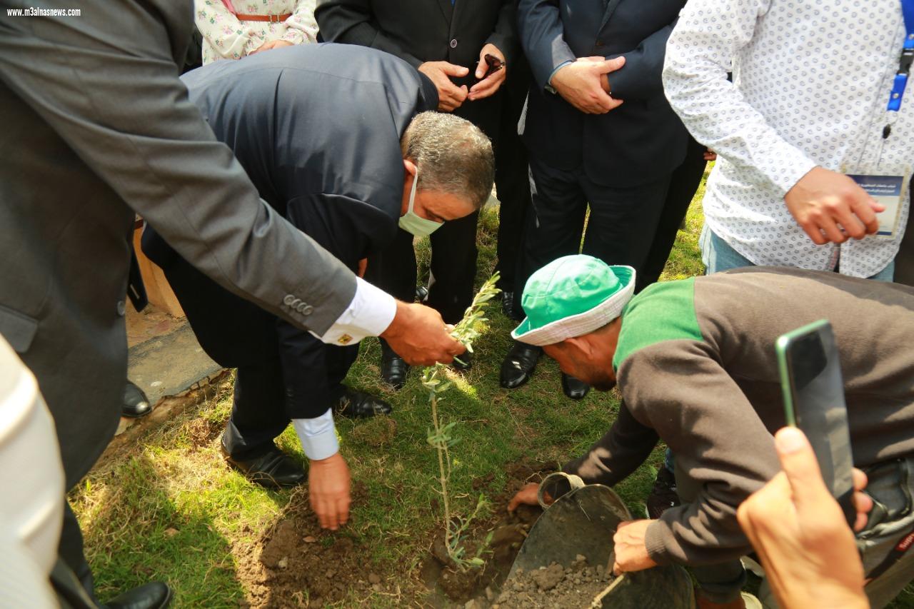 محافظ كفر الشيخ ورئيس الجامعة يثنون على العروض الرياضية للجامعات المصرية