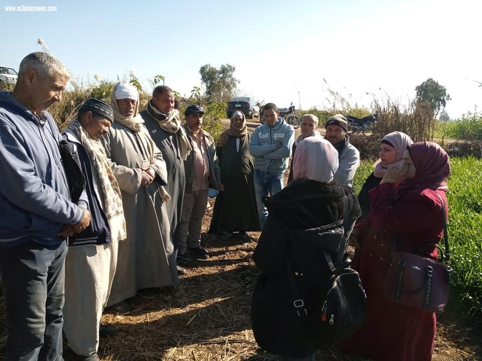 زراعة كفر الشيخ: ندوات إرشادية للمزارعين ويوم حقل لترشيد استخدام المياه