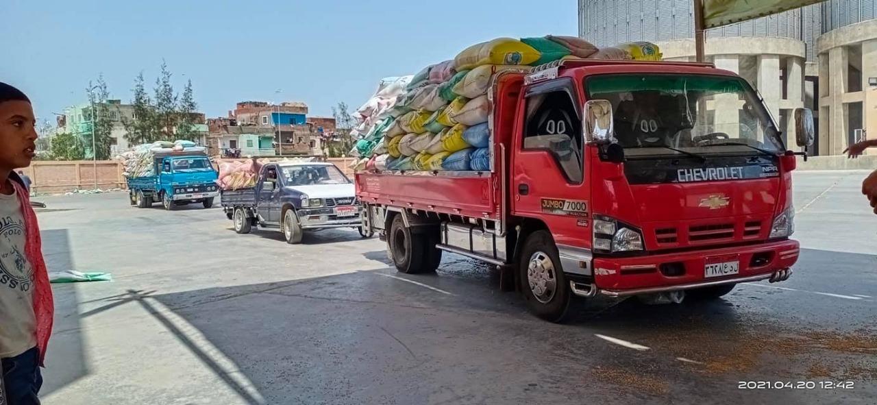 توريد 3778 طنا من القمح بكفرالشيخ من خلال 20 موقعا