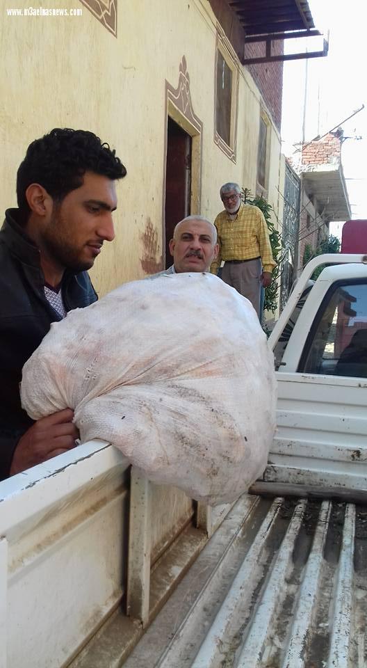 ​ بالصور|ضبط أكثر من 100كيلو دواجن غير صالحة للاستهلاك الآدمى في بيلا بكفر الشيخ