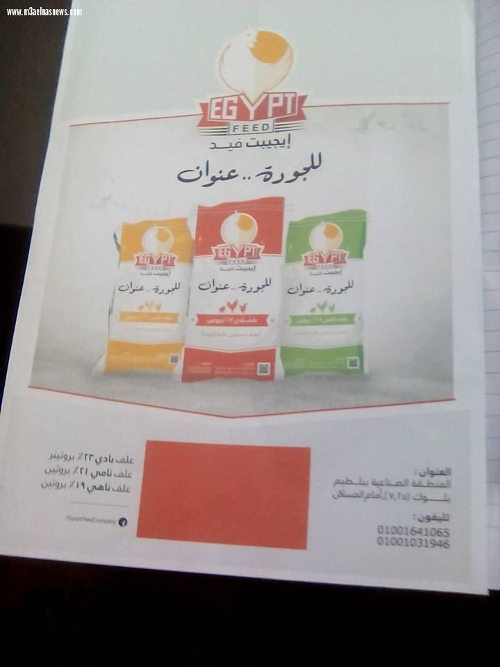 مصنع  ايجيبت فيد للأعلاف ببلطيم.. تركيبة عالمية وجودة عالية