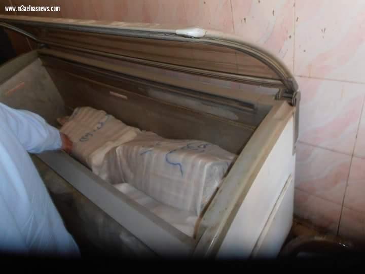 حملة تمونية مكبرة بالحامول برئاسة ماضى 