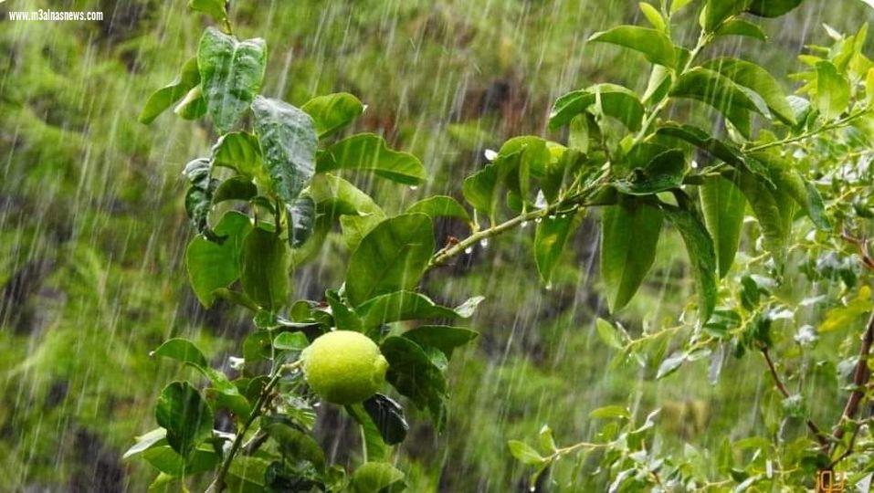 أمطار بنسبة كبيرة بنابلس على مدار يومين
