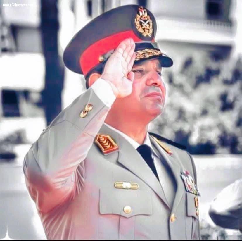 نورهان الألفى تكتب.. ثورة 30 يونيو.. إرادة شعب وحكمة قائد