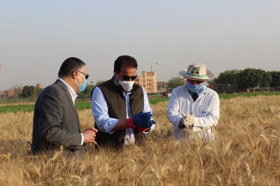 الجامعات المصريه تساهم في تحقيق الأمن الغذائي المصري والحيواني بالاعتماد على التكنولوجيا المتطورة