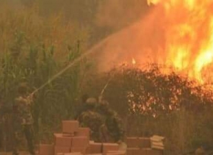 منظمة الحق : تُطالب الدول العربية بتوفير الدعم للجزائر لمواجهة الحرائق