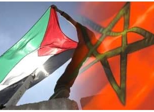 مساعدات مغربية لفلسطين . كتبت :سمية مدغري علوي 