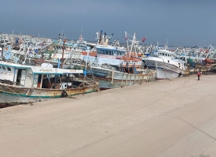 توقف حركة الصيد البحري بميناء البرلس بسبب سوء الأحوال الجوية 