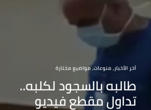 تداول مقطع فيديو لطبيب يهين ممرض في مستشفى مصري طالبه بالسجود لكلبه