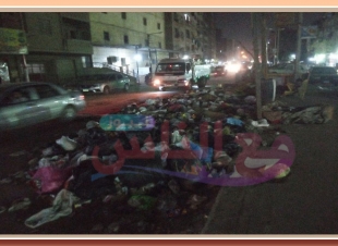 سكان شارع ترعة التوفيقية بالخصوص يصرخون بسبب تراكم القمامة