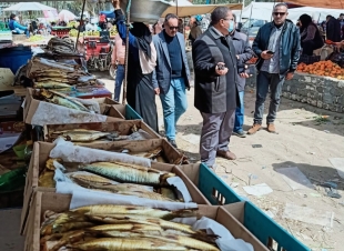 تحرير 361 محضراً للمخالفين من التجار وحملات مستمرة للتأكد من توافر السلع بكفر الشيخ