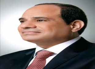 المنظمة المصرية العربية تشيد بتصريحات الرئيس السيسى لرعايته لحقوق الإنسان