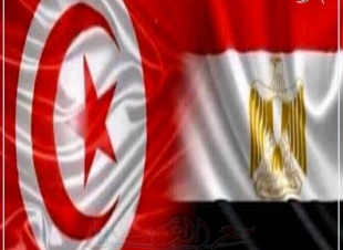 الرئيس عبد الفتاح السيسي يهنئ الرئيس التونسي قيس سعيد بحلول عيد الفطر المبارك
